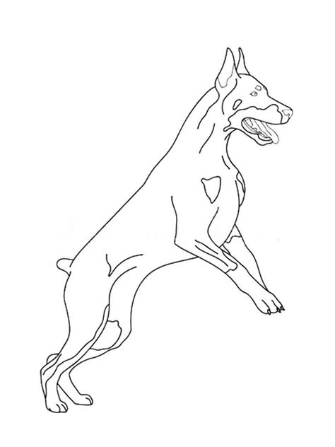 Doberman Coloring Pages