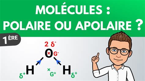 D Terminer La Polarit D Une Mol Cule Premi Re Physique Chimie