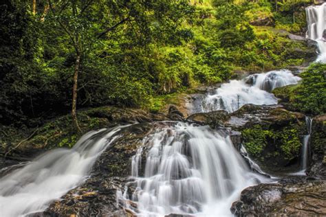 Iruppu Falls, Coorg 2024: Timing, Entry Fee, Best Time to Visit