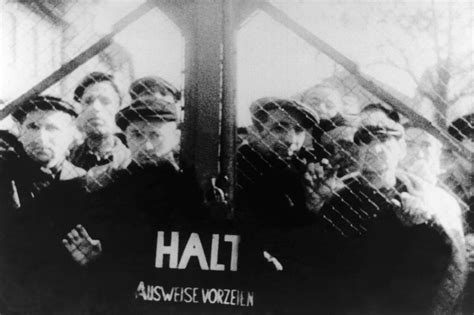 The Shocking Liberation of Auschwitz: Soviets ‘Knew Nothing’ as They ...