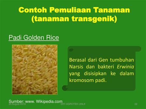 Konsep Dasar Agronomi Ir Surtinah M Ppt Download