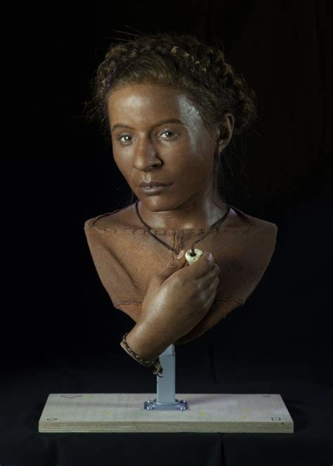 Whitehawk Woman Lived About 5600 Years Ago Forensic Facial