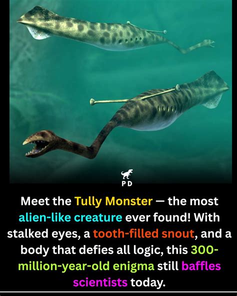 Peter - The Unsolvable Fossil: The 300-Million-Year-Old Tully Monster