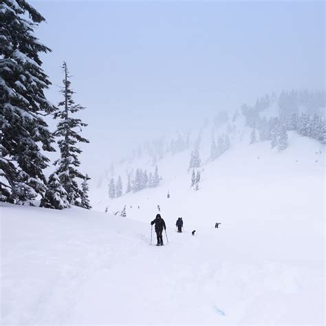 WanderingAway.com : Snowshoeing Artist Point at Mt. Baker