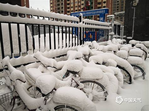 内蒙古呼伦贝尔遭遇大暴雪 最大积雪深度达24厘米 天气图集 中国天气网