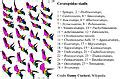 Category:Ceratopsidae skulls - Wikimedia Commons