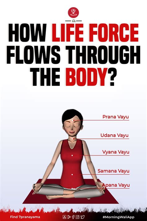 What Is Prana Life Force Five Prana And How It Flows Through The Body