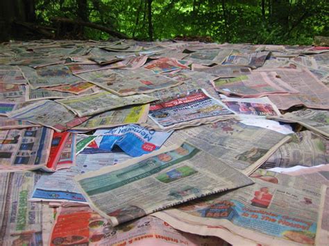 Newspaper Mulching Kevin Lee Jacobs