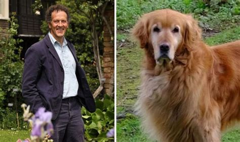 Monty Don What Has Happened To Monty Dons Dog Nigel Tv And Radio