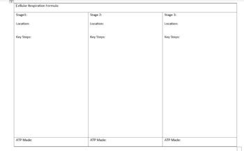 Cellular Respiration Notes And Graphic Organizer With Key Editable