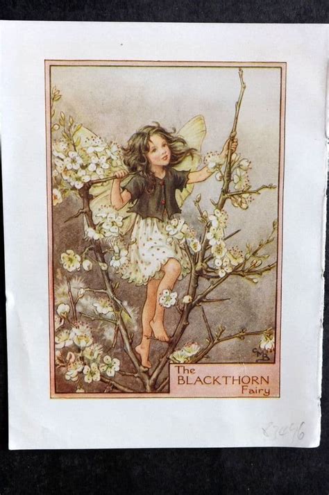 Cicely Mary Barker C1940 Vintage Flower Fairy Print Blackthorn