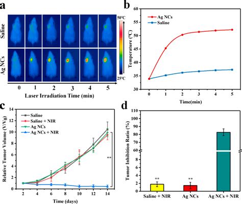 A In Vivo Thermal Images Of Mice Injected With Saline Or The Ag Ncs