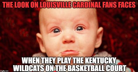 Louisville Cardinal Football Memes