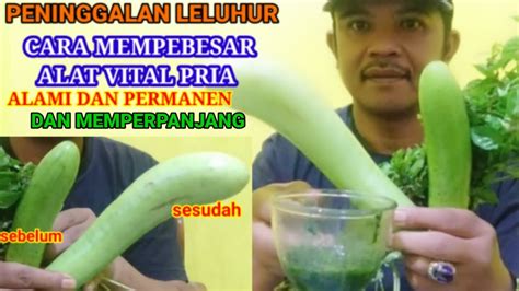 Peninggalan Leluhur Cara Memperbesar Alat Vital Pria Memperpanjang