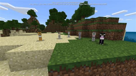 You Can Dye Cats Collars In The New Bedrock Beta R Minecraft