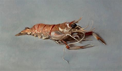 Sarah Lamb Langoustine Sarah Lamb Still Life Painting Animal