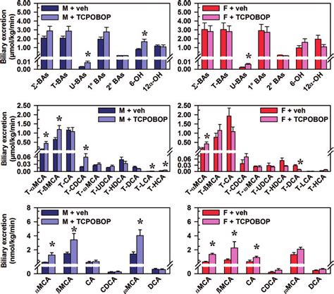 Effect Of TCPOBOP On Biliary Excretion Of Bile Acids In Male And Female