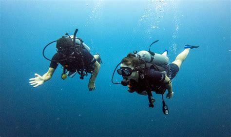 PADI Scuba Diver Course Koh Phangan Asia Blue Scuba