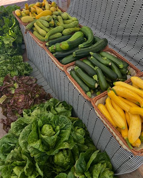 South Coast Farms (@southcoastfarms) • Instagram photos and videos
