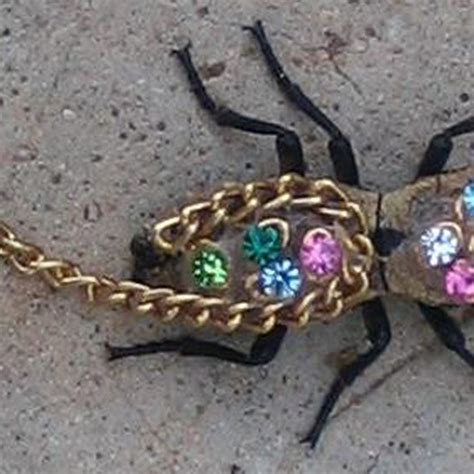 Live Beetles Are Being Turned Into Jewelry In Mexico The, 42% OFF