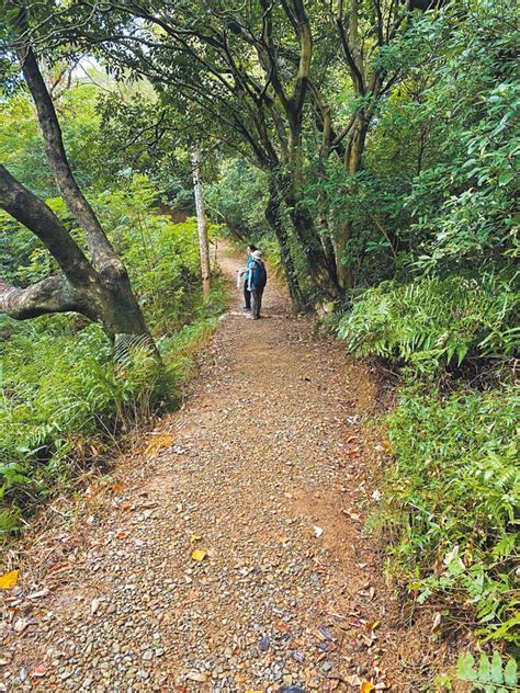 桃園森呼吸 五酒桶山手作步道啟用 地方新聞 中國時報