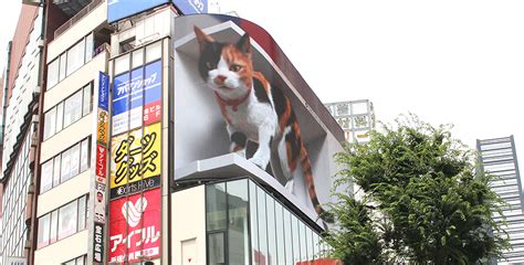 新宿駅東口に大型デジタルサイネージを設置。巨大3d猫がsnsで大きな反響に、マイクロアドデジタルサイネージとユニカ 看板経営com