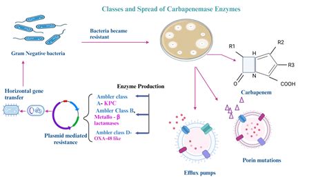 Occurrence And Types Of Carbapenamase Enzymes Amongst Enterobacterales