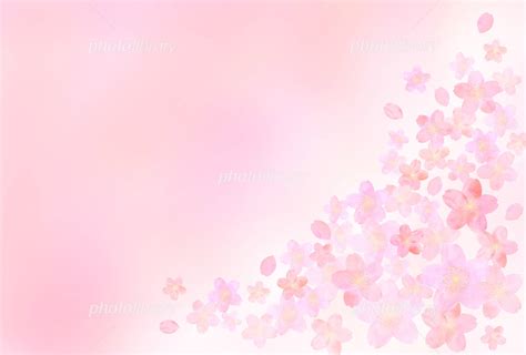 桜の花 背景 水彩風 イラスト素材 [ 4782786 ] フォトライブラリー Photolibrary