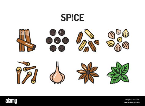 Spices And Herbs Color Line Icons Set Vector Illustration Stock Vector