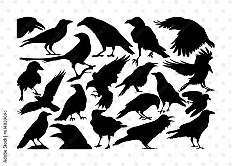 Crow Silhouette Crow Svg Raven Svg Blackbird Svg Crows Svg Crow