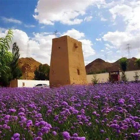 乡韵龙景·幸福慢村—乡村旅游新名片金川区宁远堡镇龙景村入选2021年度全省文旅振兴乡村样板村创建名单重点村