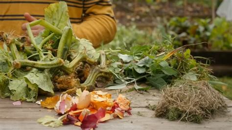 Composting Turning Your Waste Into Gold As Alchemists Do