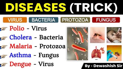 Diseases Gk Human Disease Gk Viral Bacterial Fungal Diseases