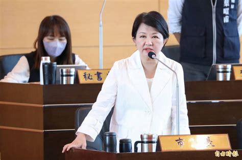 綠營議員批水湳經貿園區6年民間投資空白 盧秀燕談任內建設 生活 自由時報電子報