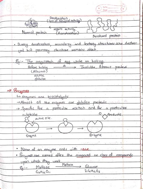 Biomolecules Class Chemistry Handwritten Notes Shop Handwritten