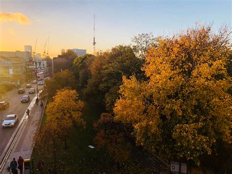 Haggerston Forest : london