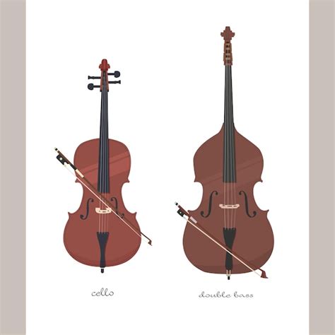 Violonchelo Y Contrabajo Con Arco Vector Premium