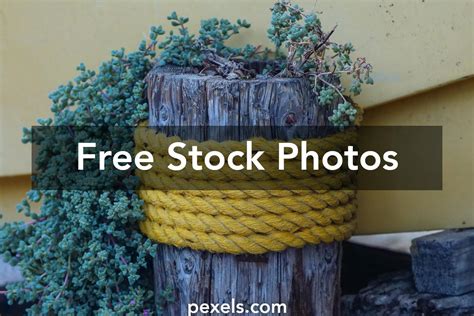thick rope      thick rope stock  hd