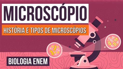 Microsc Pio O Que Hist Ria E Tipos De Microsc Pios Resumo De