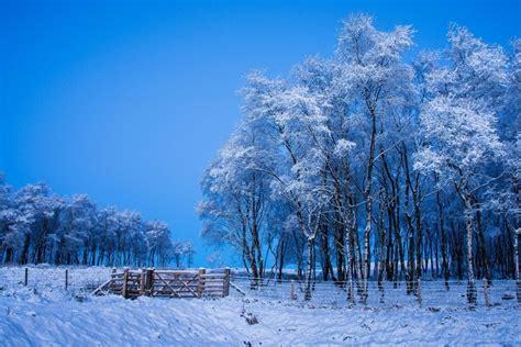 Winter Outdoors Landscape Snow Trees Hd Wallpaper Rare Gallery