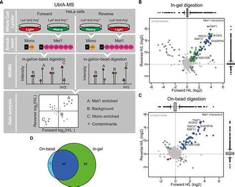 An Interaction Landscape Of Ubiquitin Signaling Molecular Cell