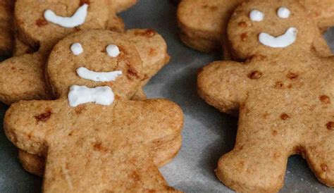 Biscotti di pan di zenzero nocciolati che Natale è senza questa bontà