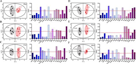 Sex Specific Metabolic Alterations In The Type 1 Diabetic Brain Of Mice