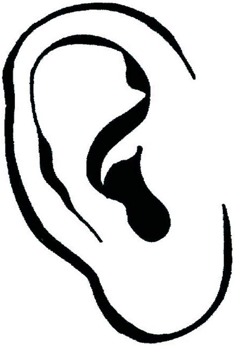 Free Ears Coloring Pages Download Free Ears Coloring Pages Png Images