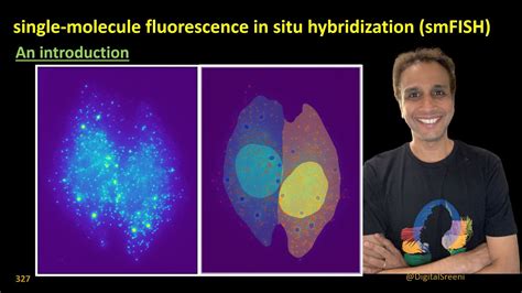 327 An Introduction To Single Molecule Fluorescence In Situ