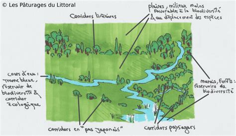 Trame Verte Et Bleue Source De Biodiversit Les P Turages Du Littoral