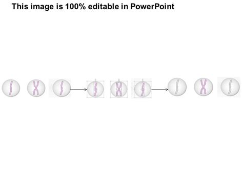 0614 Chromosomes Medical Images For Powerpoint Ppt Images Gallery