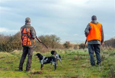 Covid La chasse au gros gibier officiellement autorisée dans la Somme