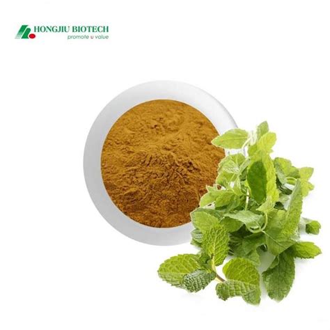 China Catnip Extract Manufacturers Suppliers Factory Professional