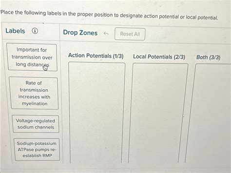 Solved Place The Following Labels In The Proper Position To Chegg